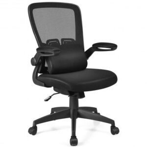 Ergonomic Desk Chair with Lumbar Support and Flip up Armrest-Black - Color: Black